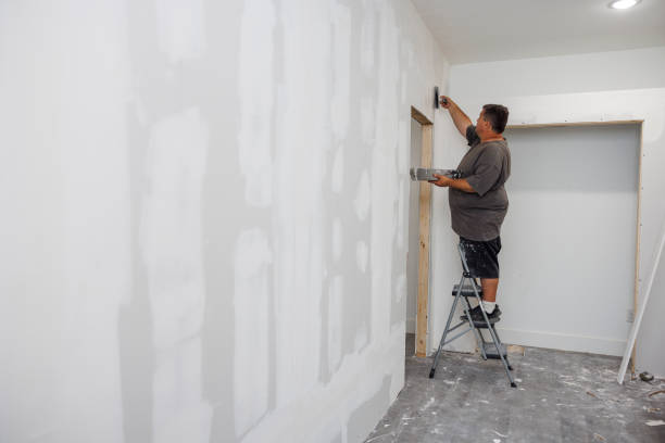 Professional Painting & Drywall Installation in Delmar, MD