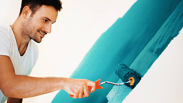 Best Exterior Painting  in Delmar, MD